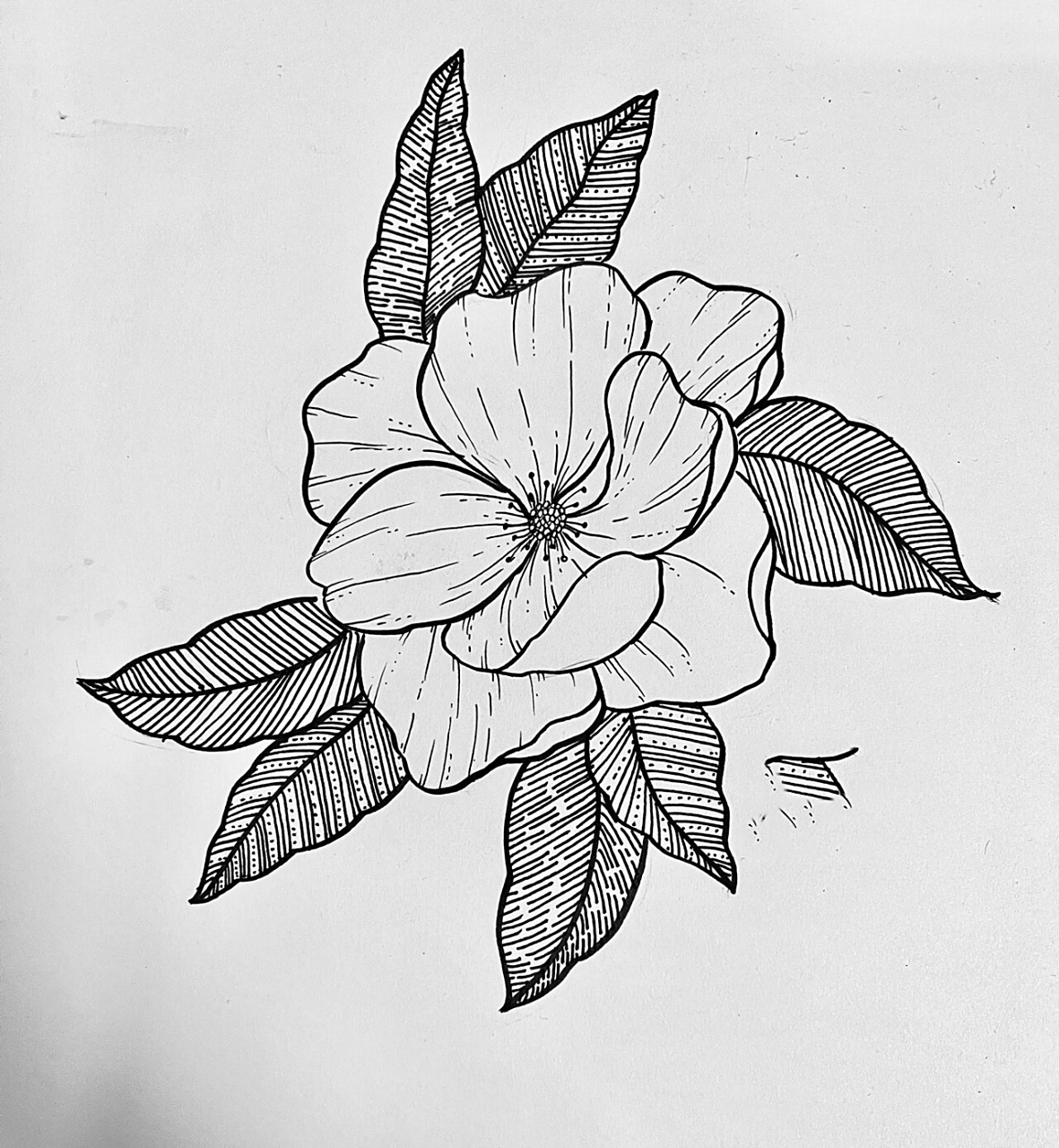 黑白画 花卉 黑白装饰画打卡 练习线条控笔 祝大家新年快乐呀!