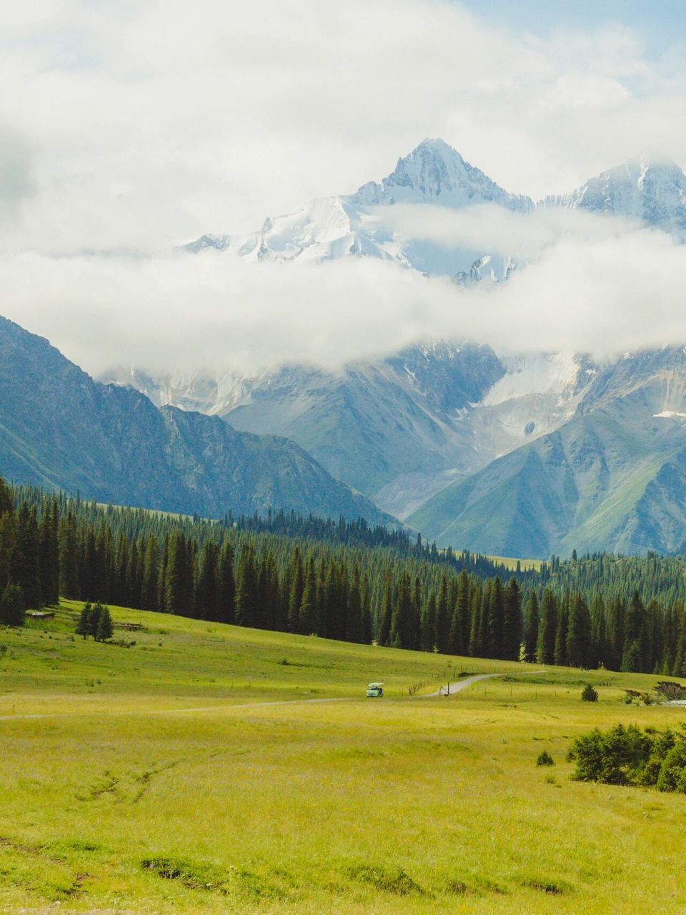 夏天一定去这里徒步,看野花雪山  新疆伊犁真的是个徒步宝地.