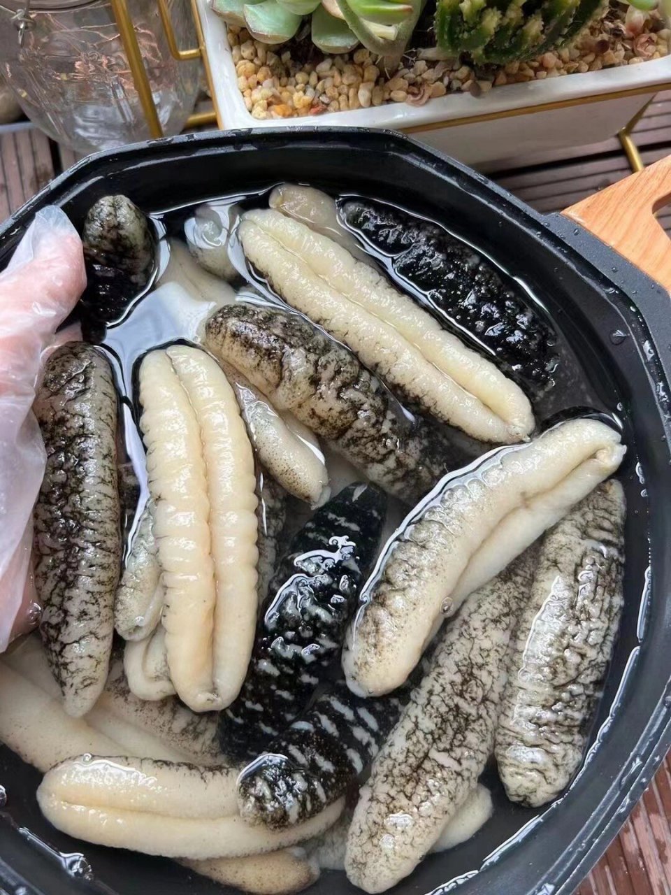 明秃海参 家里最常吃的一款海参;明秃参,野生纯淡干的,口感细腻光滑.