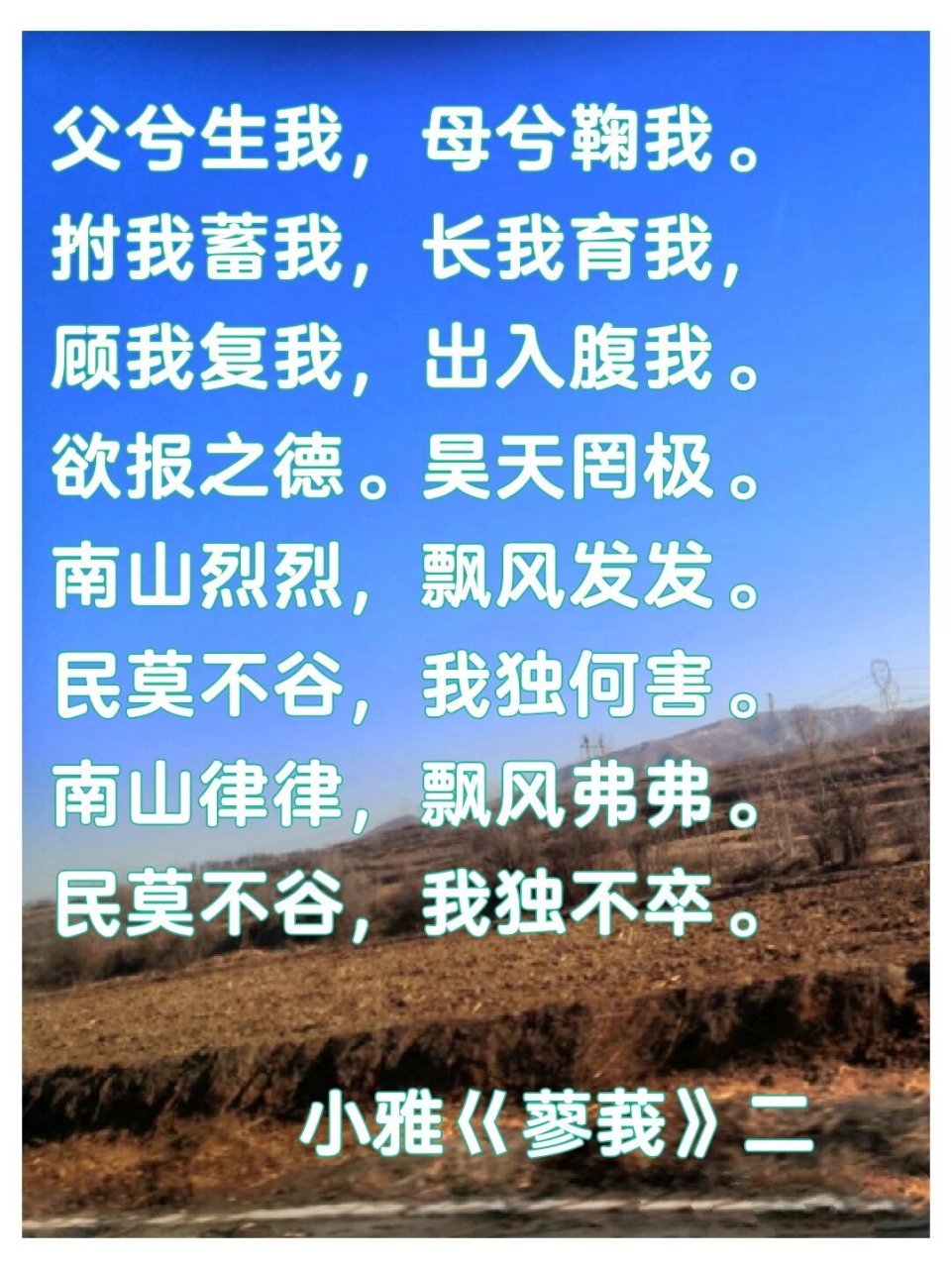 诗经.小雅.蓼莪 蓼蓼者莪,匪莪伊蒿.哀哀父母,生我劬劳.