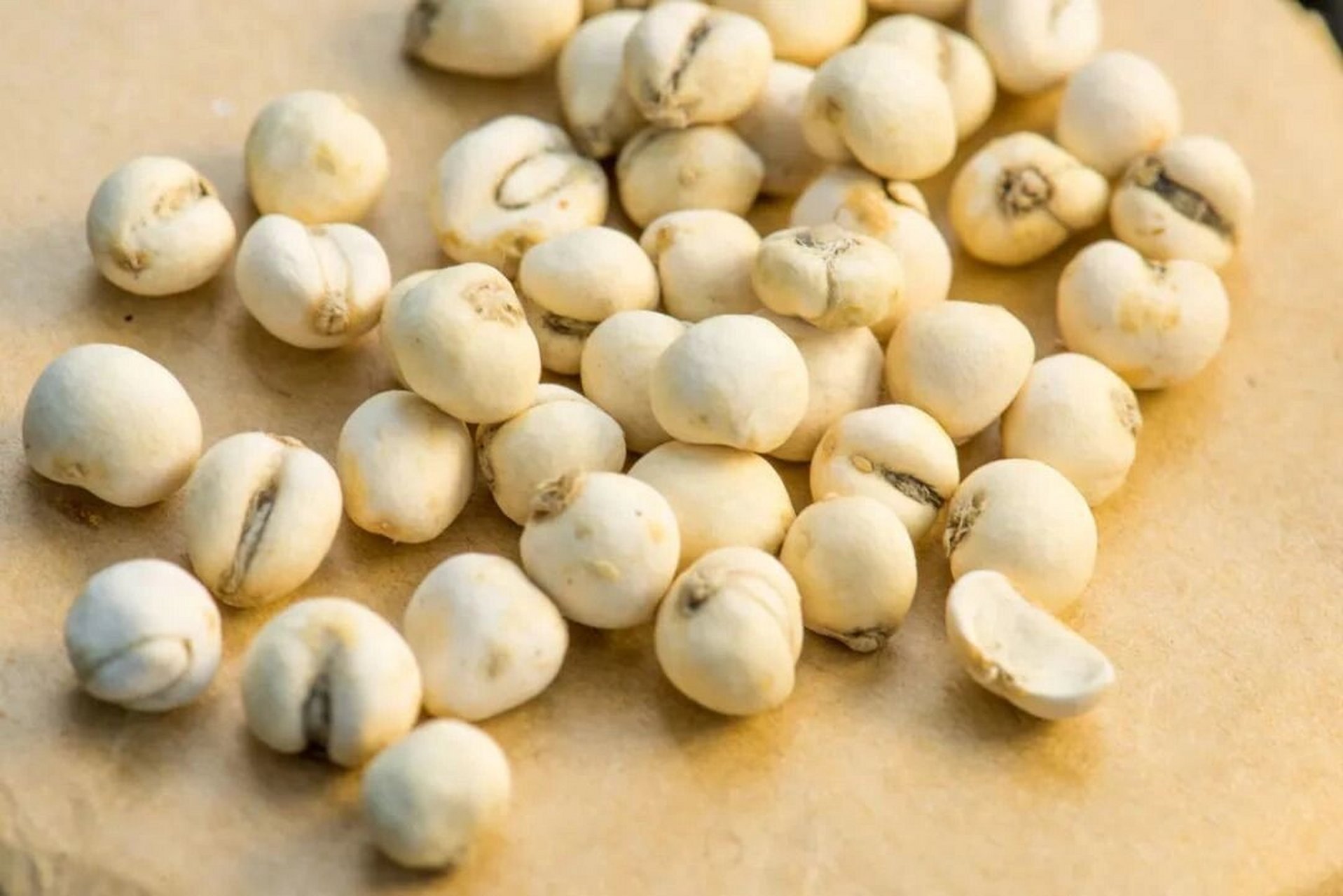 每日认识一味中药-川贝母 川贝母 别名卷叶贝母,松贝,青贝,炉贝.