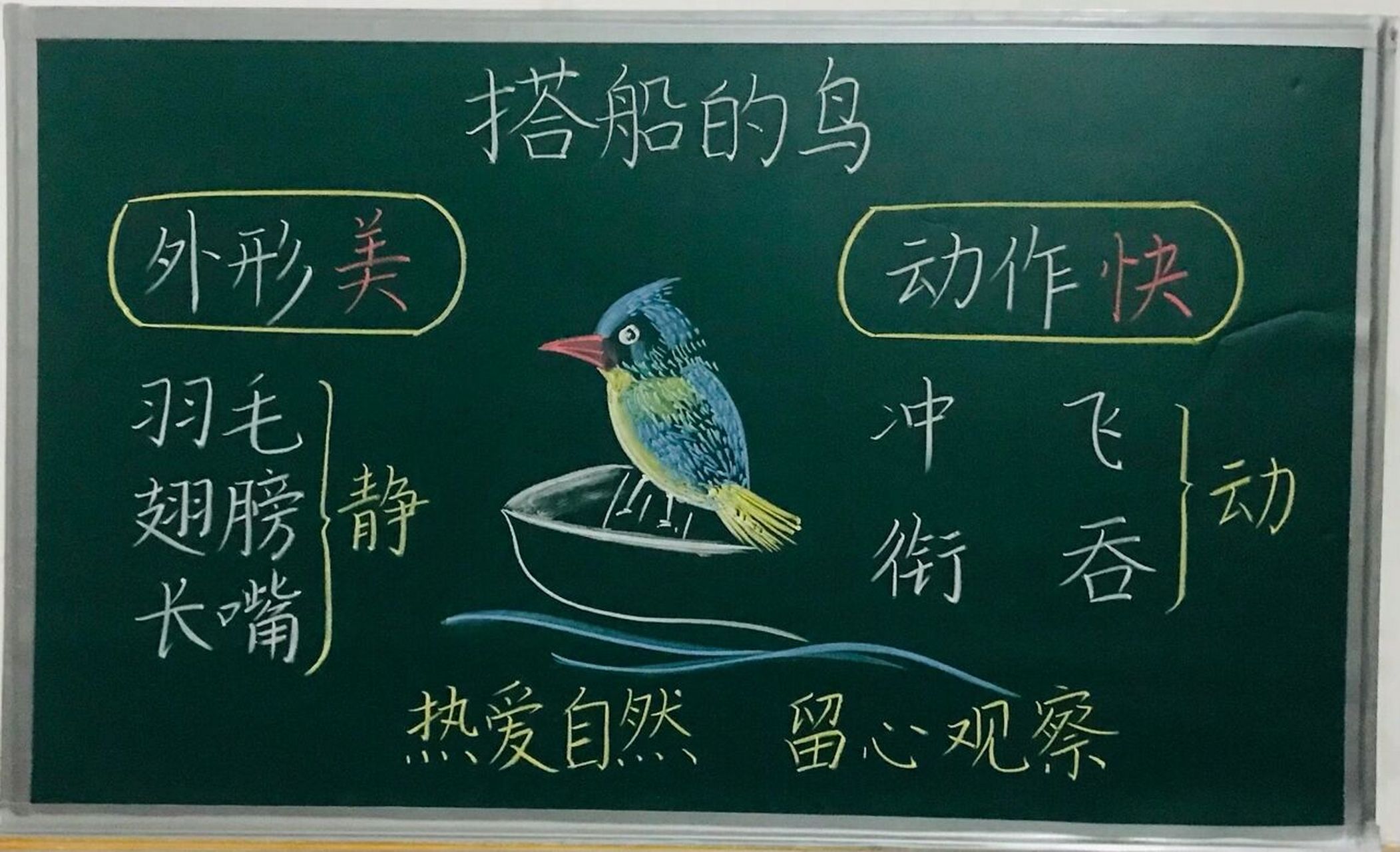 三年级上册《搭船的鸟》板书设计 #小学语文板书设计