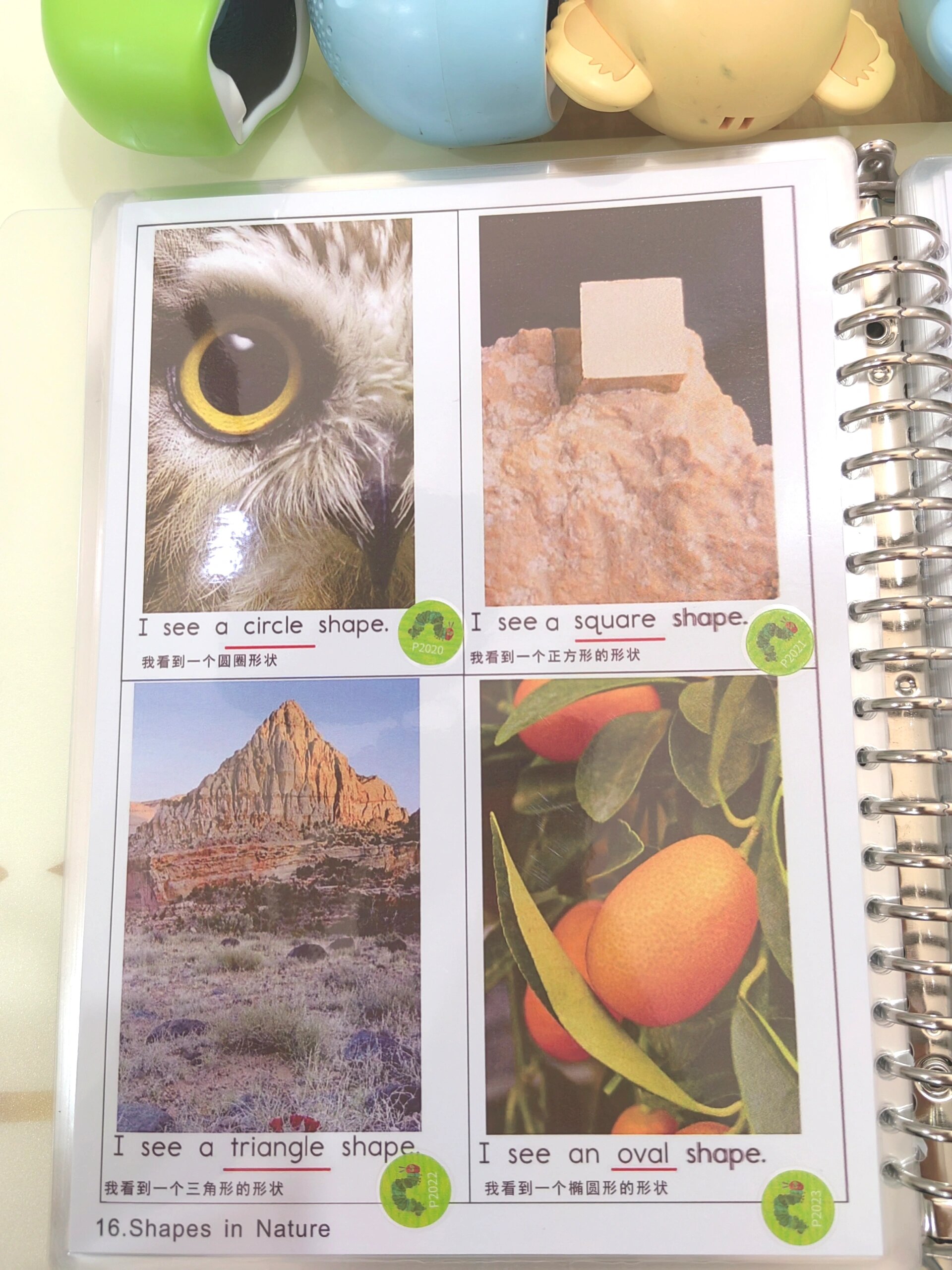 raz分级阅读闪卡英语启蒙必学毛毛虫点读笔 raz分级阅读单词闪卡 毛