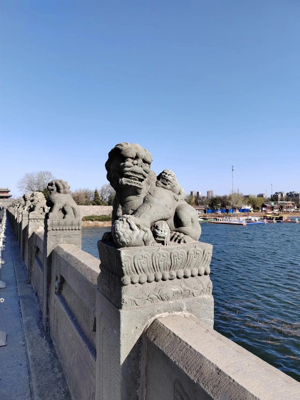 【三下语文】第三单元卢沟桥石狮子练笔 赵州桥的龙,卢沟桥的石狮子