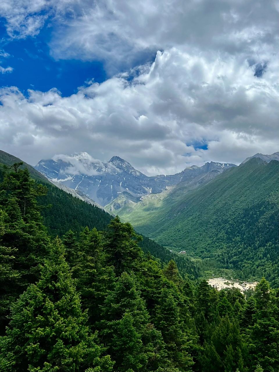 冷知识: 黄龙雪山是"更喜岷山千里雪"的岷山 #夏日降温企划# 去黄龙路