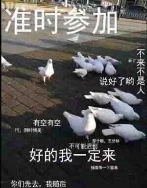 分头行动! 每日分享表情包|斗图聊天欢乐多