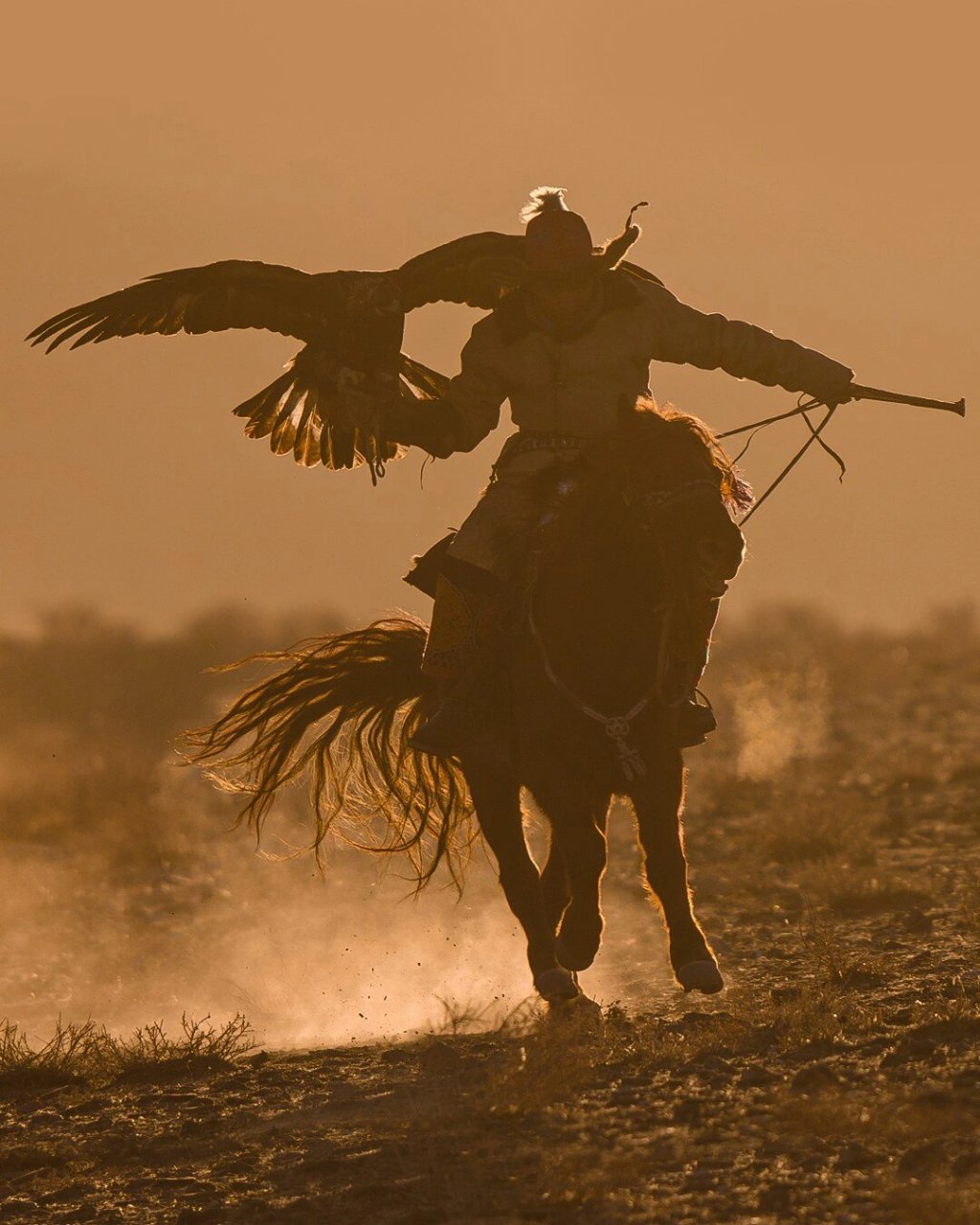 蒙古国9899西部猎鹰节摄影骑马猎鹰狩猎 猎鹰节的玩法:西部猎鹰