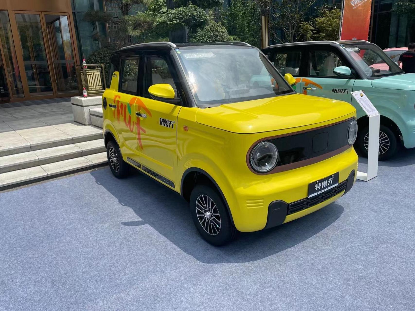 特鲁夫m6小熊猫,四轮低速电动车