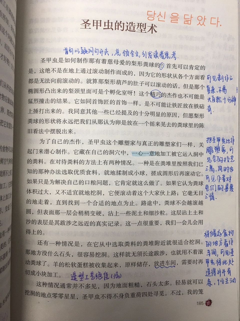 圣甲虫的造型术 昆虫记章节阅读批注 感受 圣甲虫的造型术 纯原创!