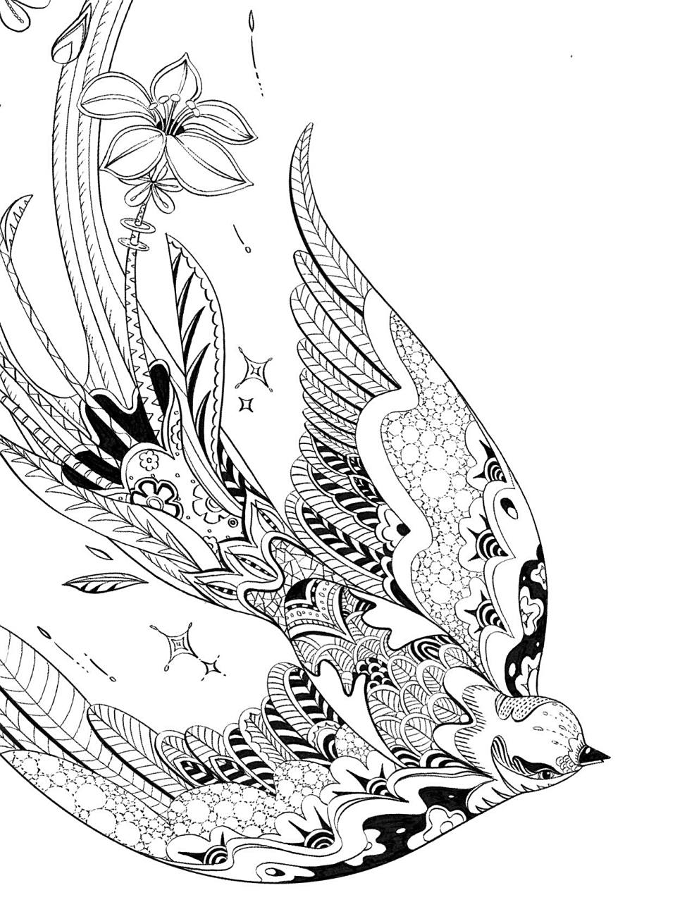 飞燕(线稿)|原创插画   	 飞燕 抽空画了一张线稿 等有空再上色 同时