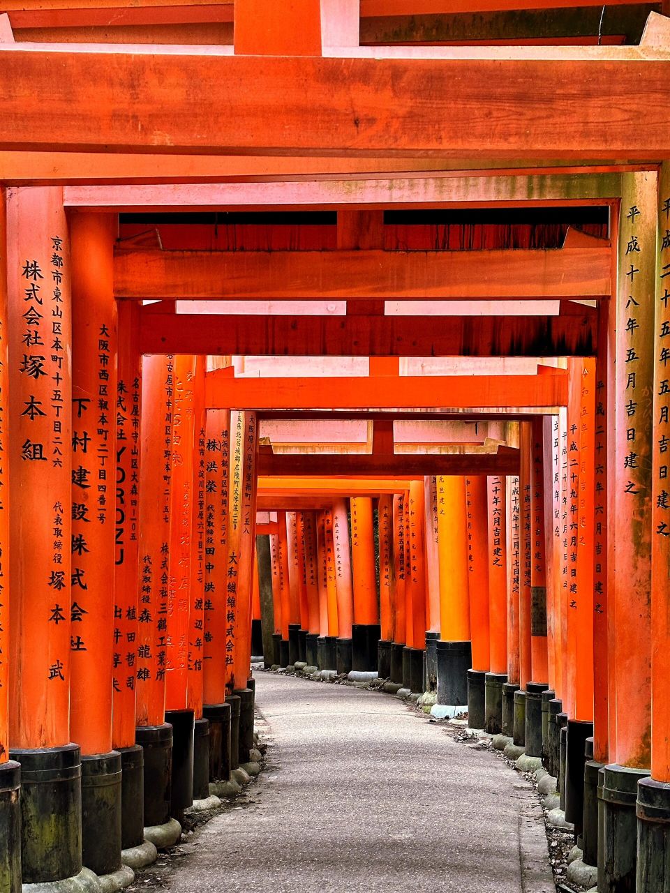 7515京都 | 伏见稻荷大社千本鸟居 90伏见稻荷大社距离市区还是