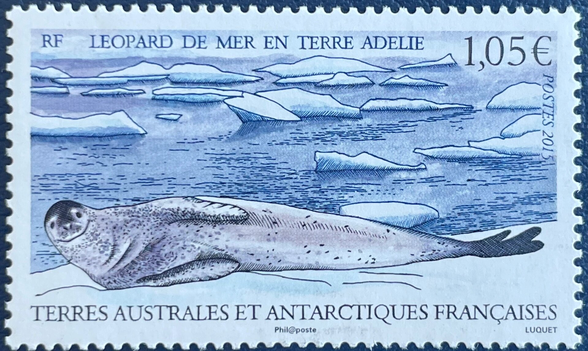 邮痴夜话290|豹形海豹