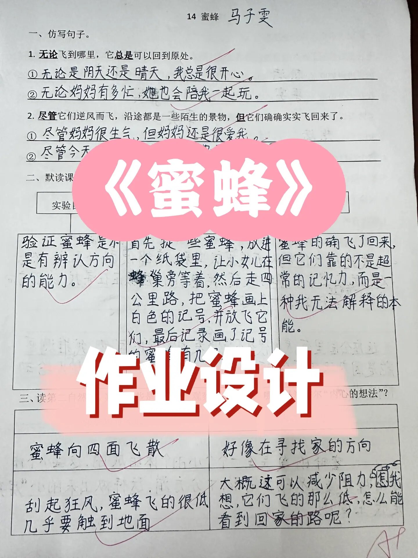 蜜蜂作业设计及意图图片