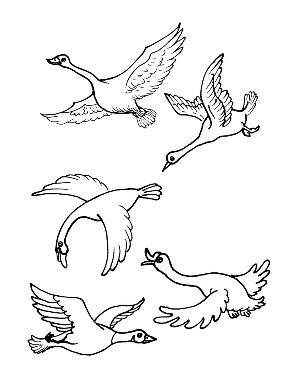 美术创作素材-每日打卡50 江水侵云影,鸿雁欲南飞