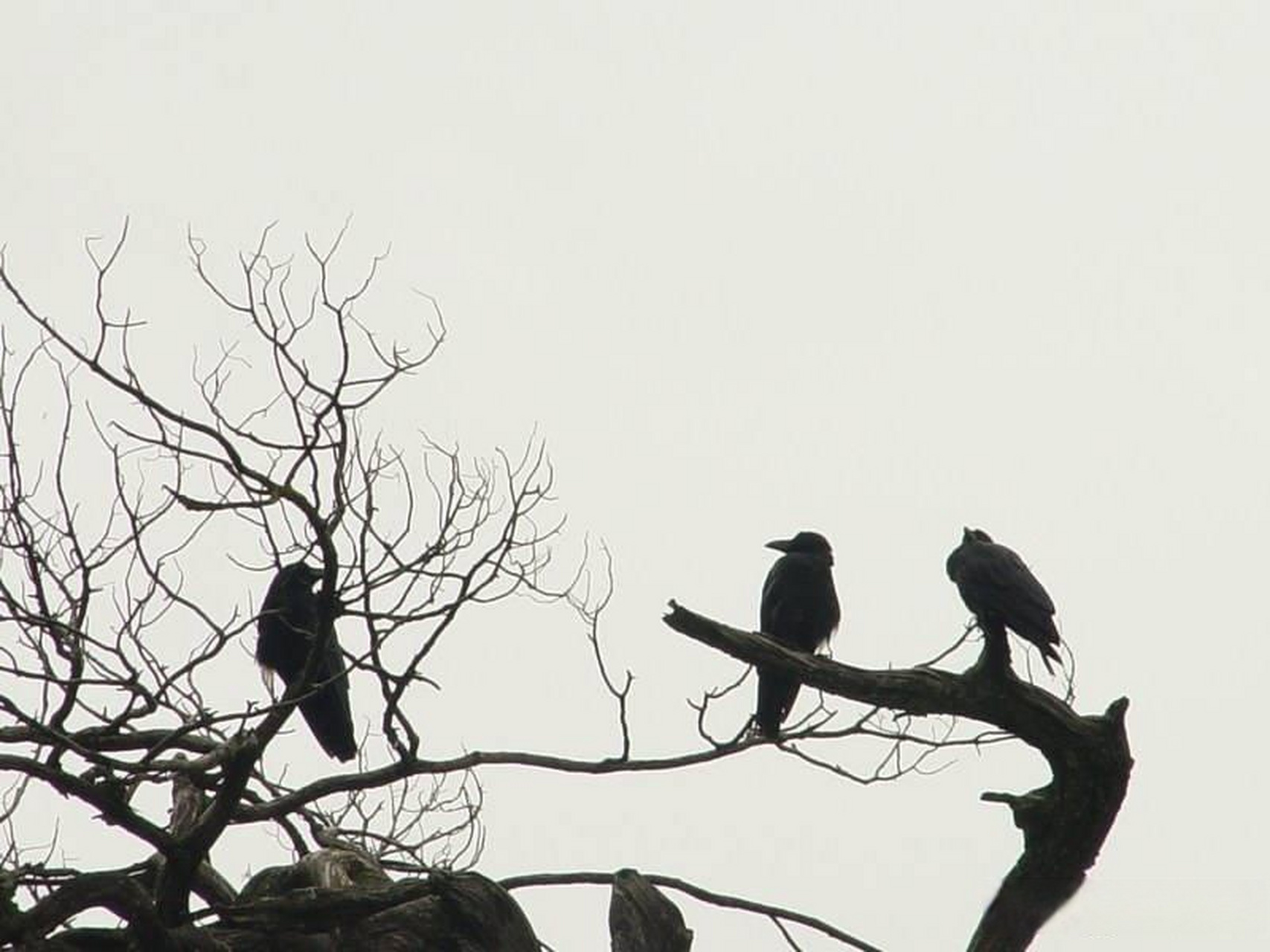 这道题有些难度,有些人一看到这题,首先就把"a