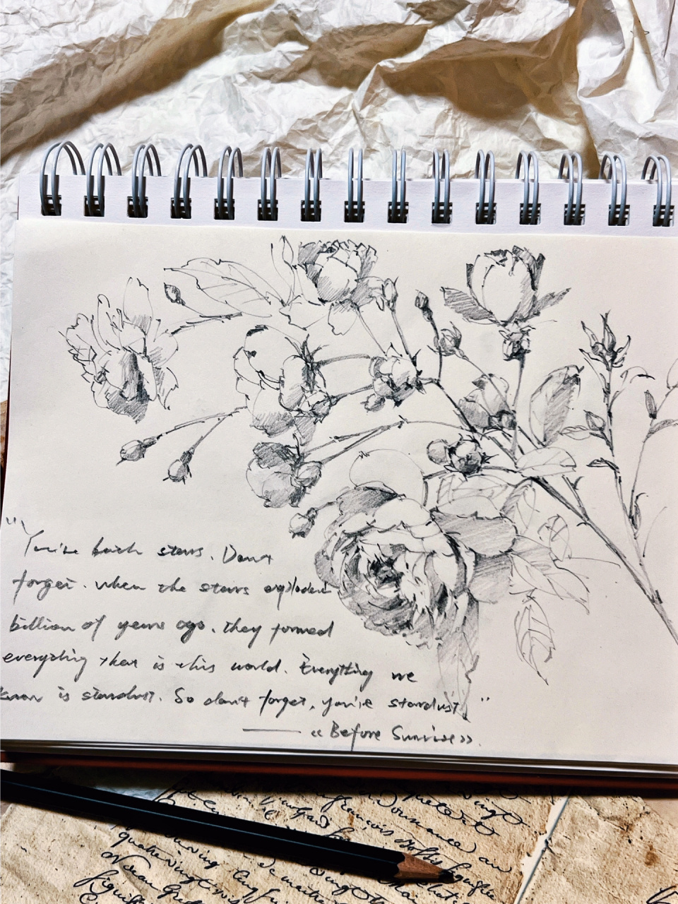 速写花卉 手绘玫瑰 打卡.