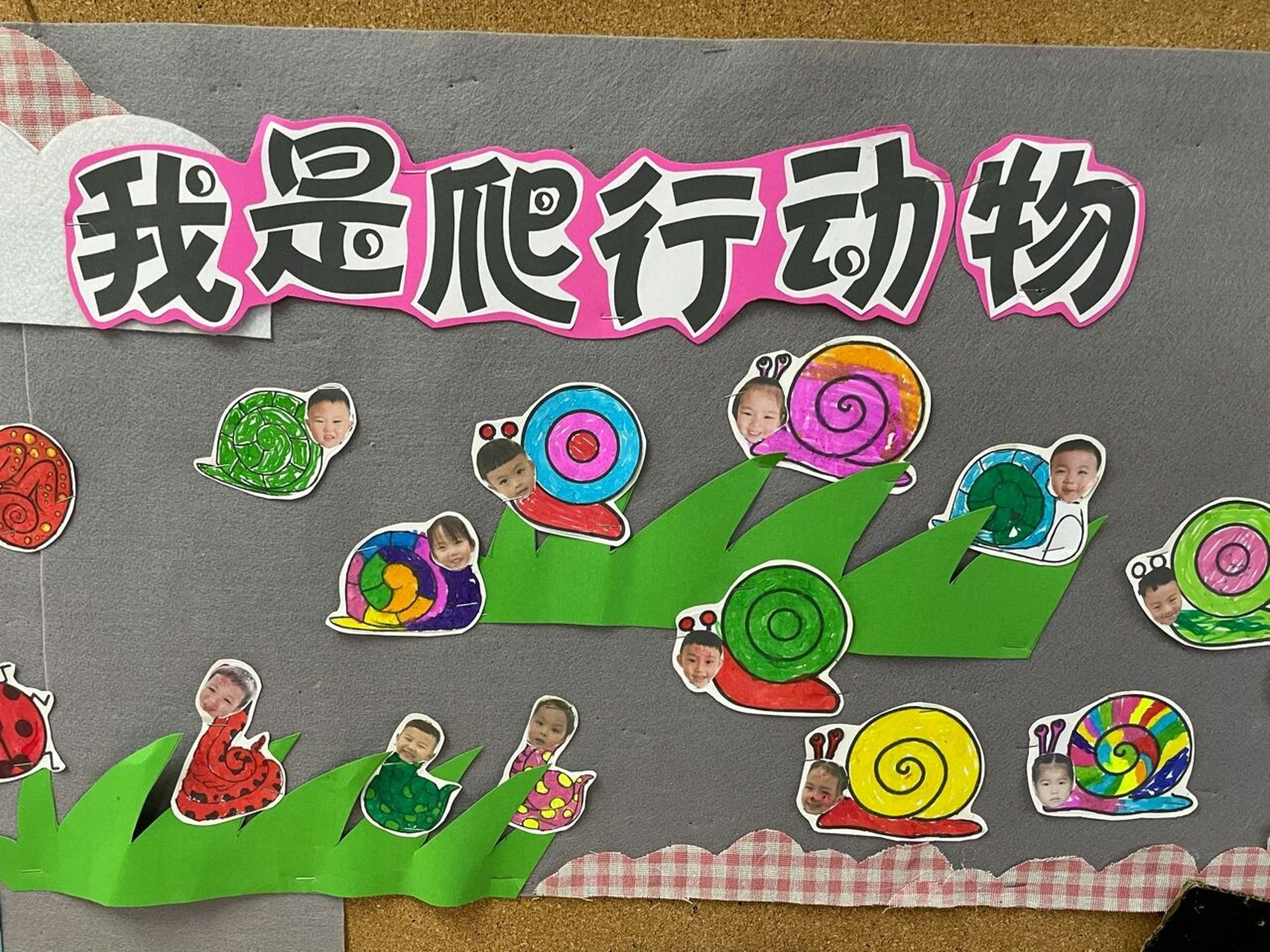 爬藤上的瓜果#主题墙# #爬爬乐