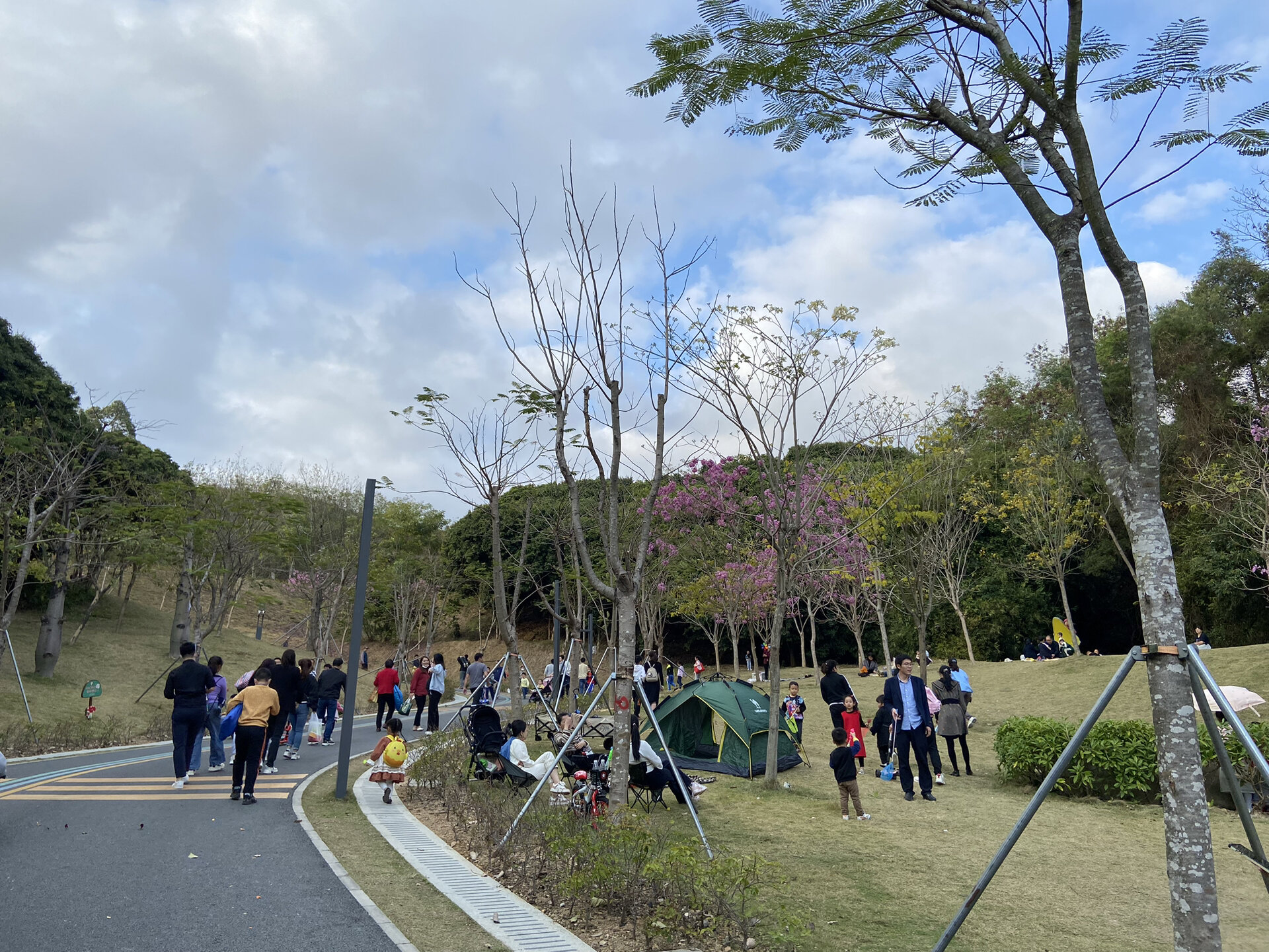 【官方权威发布】城建云宸汇售楼处官方电话(城建云宸汇首页网站)楼盘详情-最新价格-户型@售楼处中心2026年6月24日(图1)