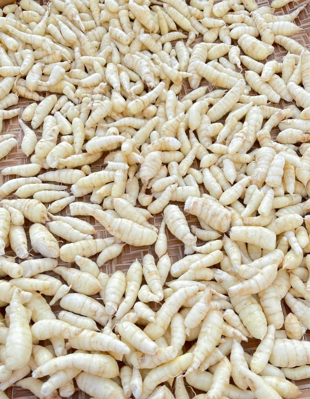 潮汕特产:东京薯丸子糖水 摇粉一下午,粒粒皆辛苦.