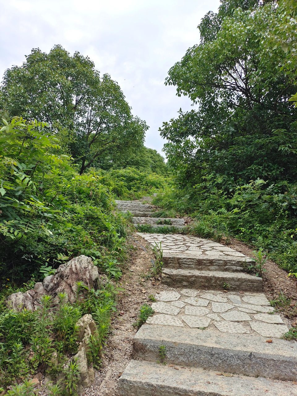 吼山森林公园 浅爬一下没有强度的小土坡