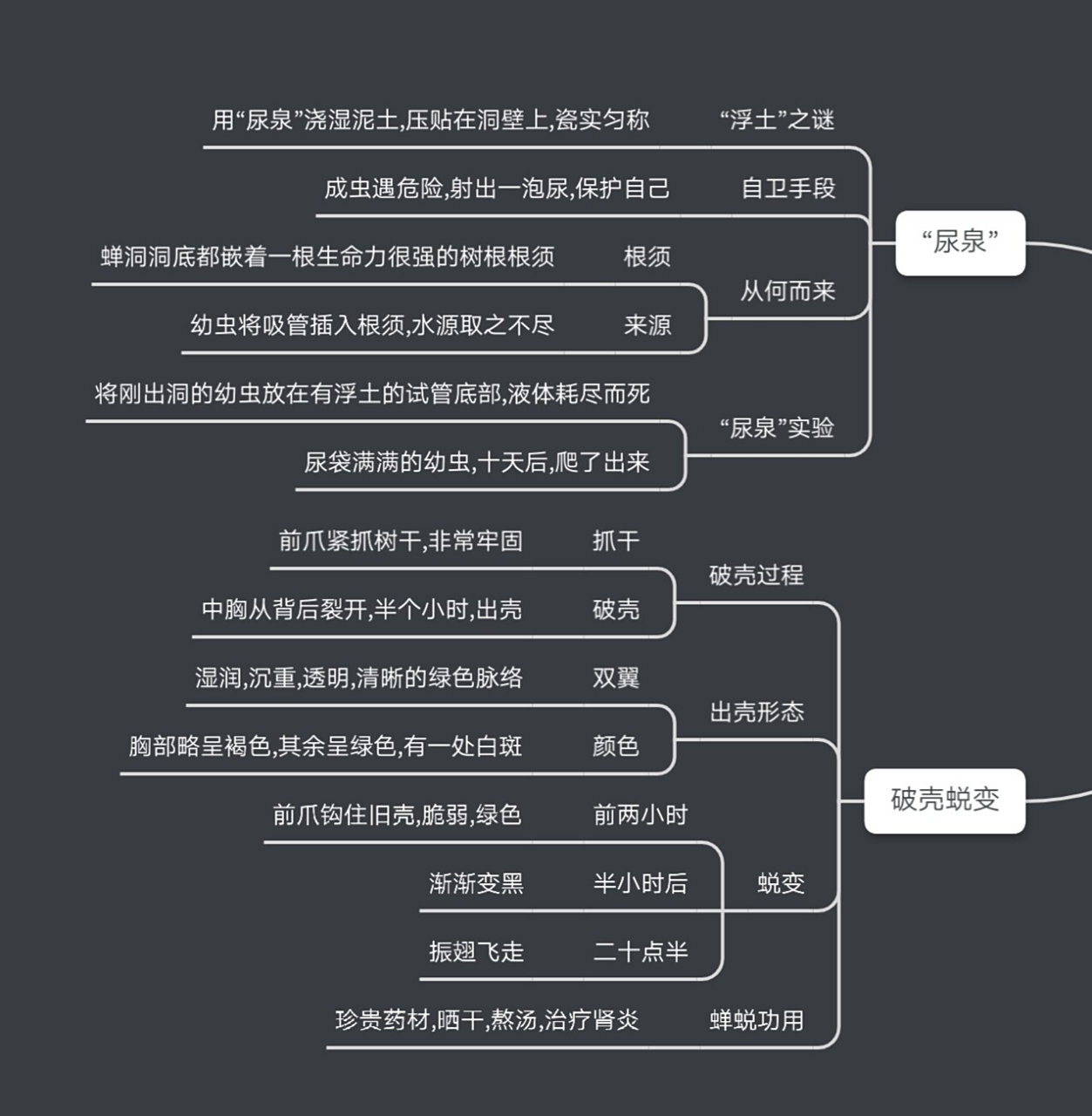 昆虫记·「蝉出地洞」思维导图 初二必读书目·昆虫记 第四章「蝉出