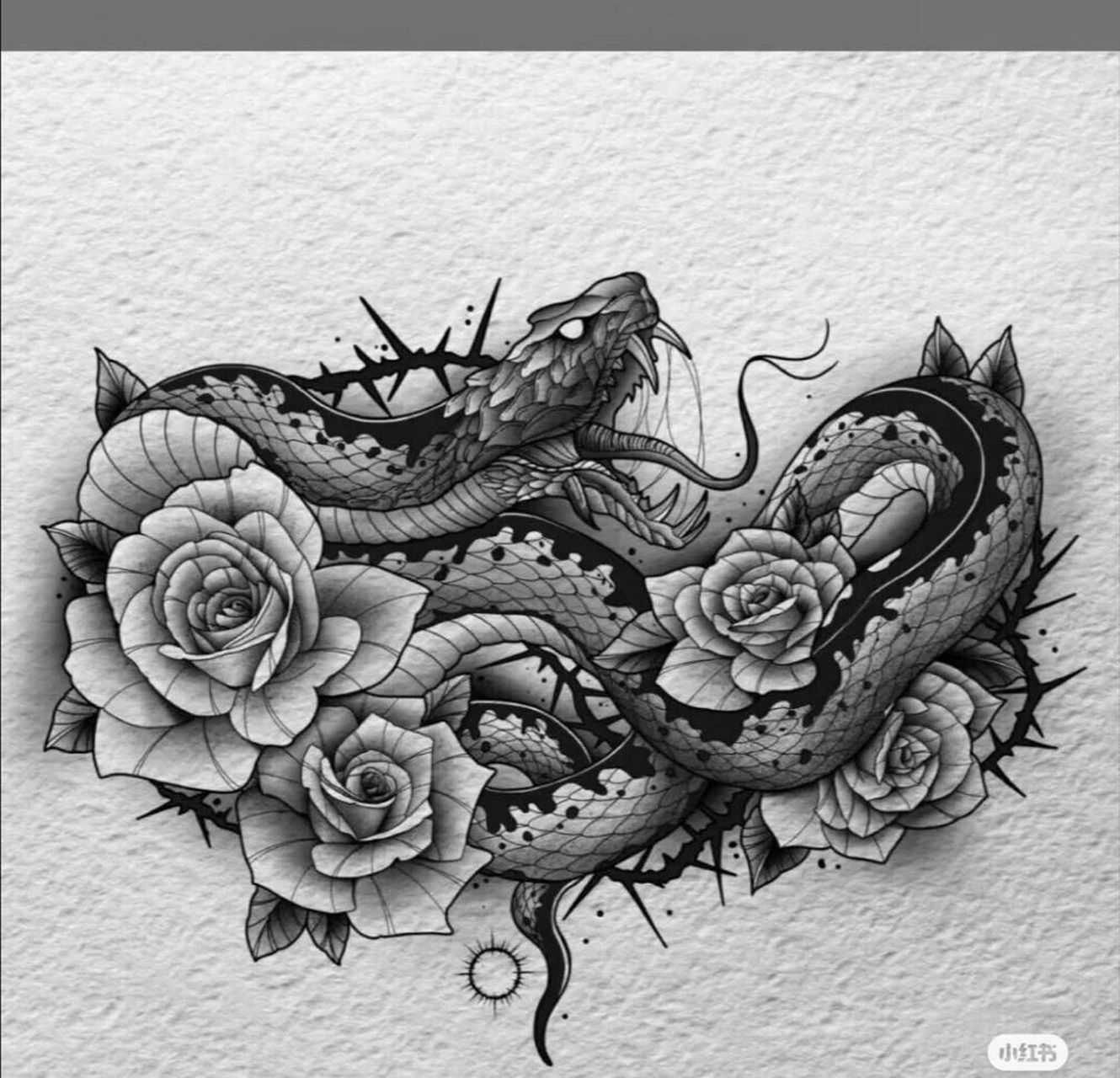 蛇纹身手稿.纹身图案素材 纹身手稿.蟒蛇纹身