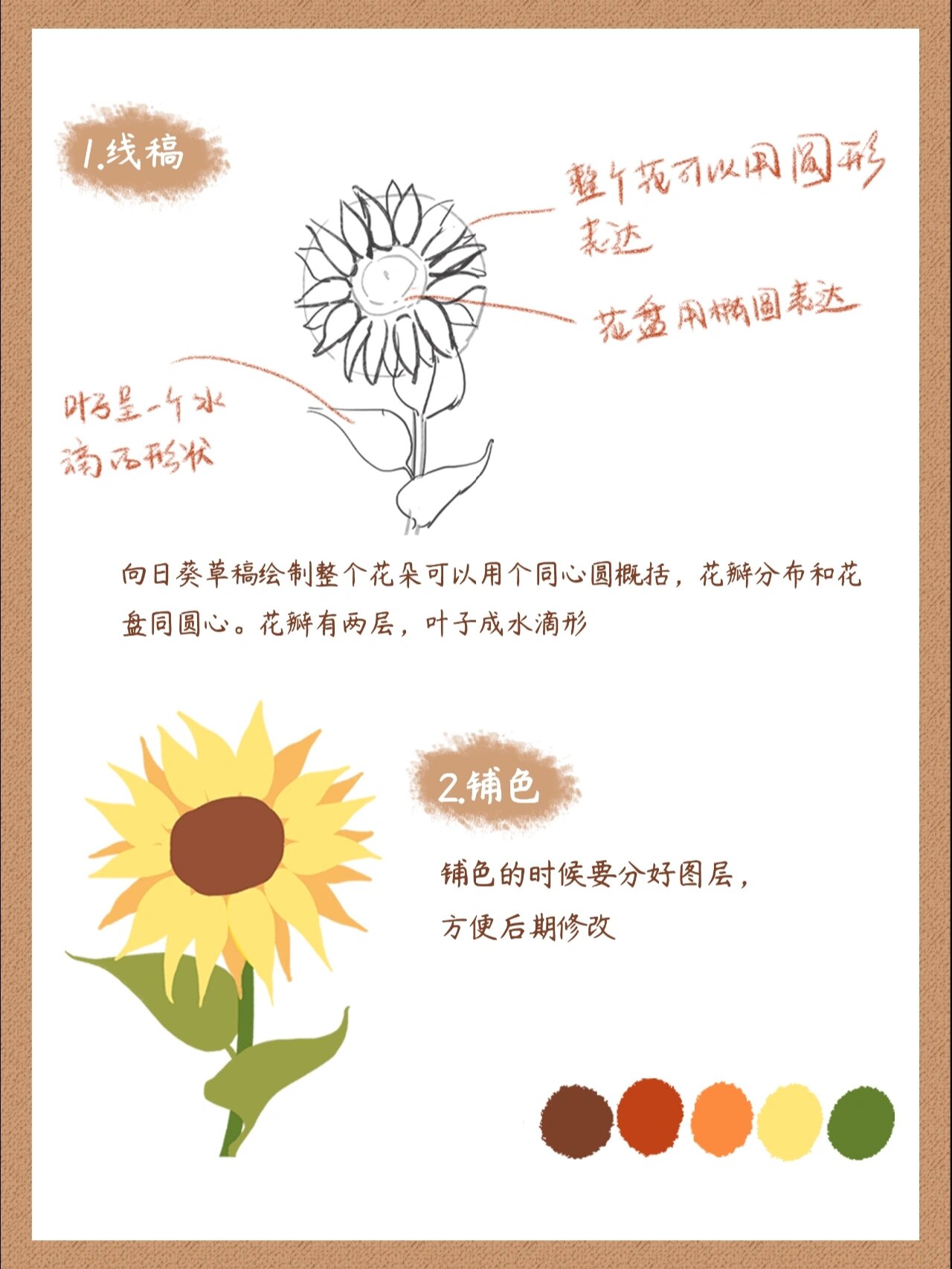 插画教程|花卉篇-向日葵97(附笔刷~)