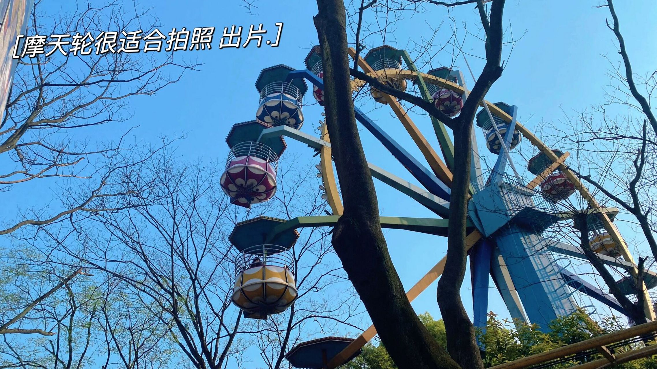杭州西湖边50块玩到尽兴|少年宫游乐园 杭州西湖边的少年宫50块可以玩