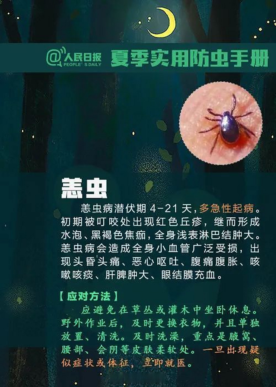 深圳人要警惕羌虫病#】近日,浙江丽水张大爷(化名)因持续高烧不退