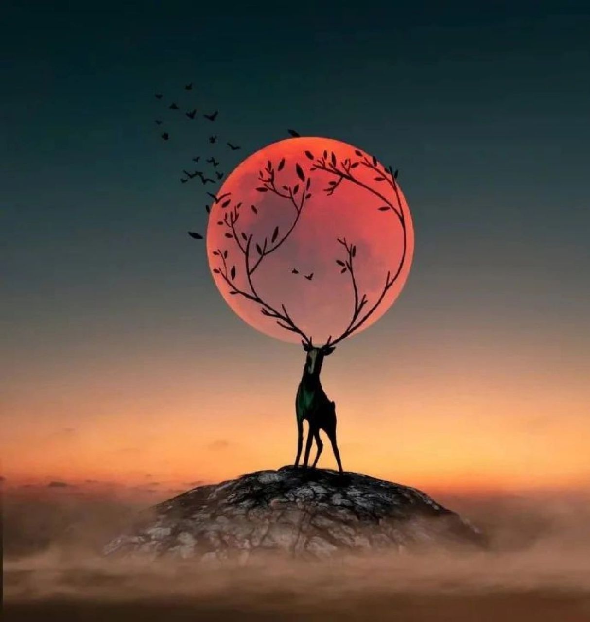 舒心治愈的背景图 一看就舒心,治愈的背景版图像