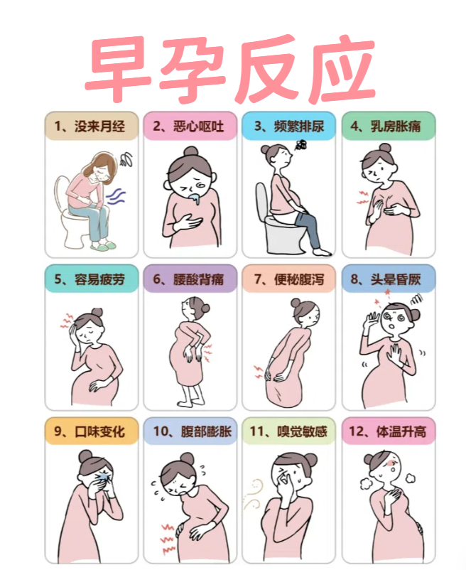 为什么8到10周容易胎停