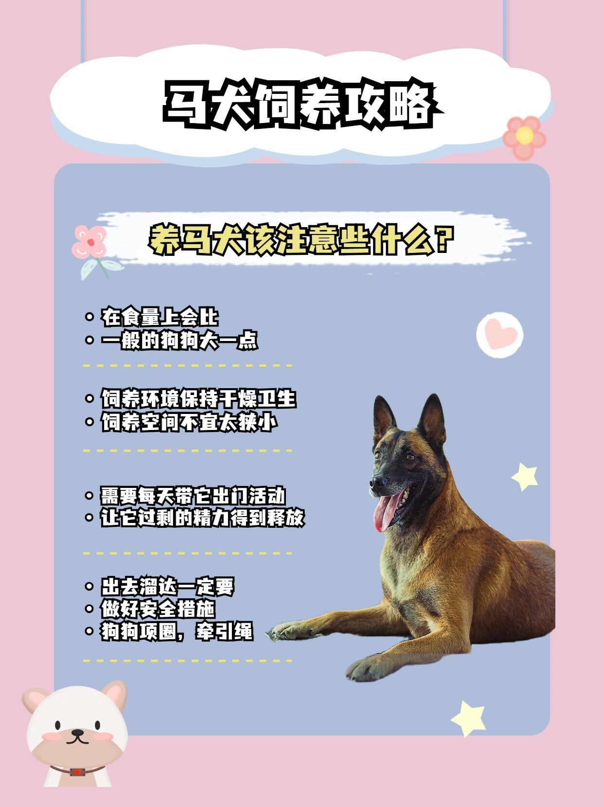 马犬犬种介绍— 马犬犬种介绍——马犬的优缺点与价格