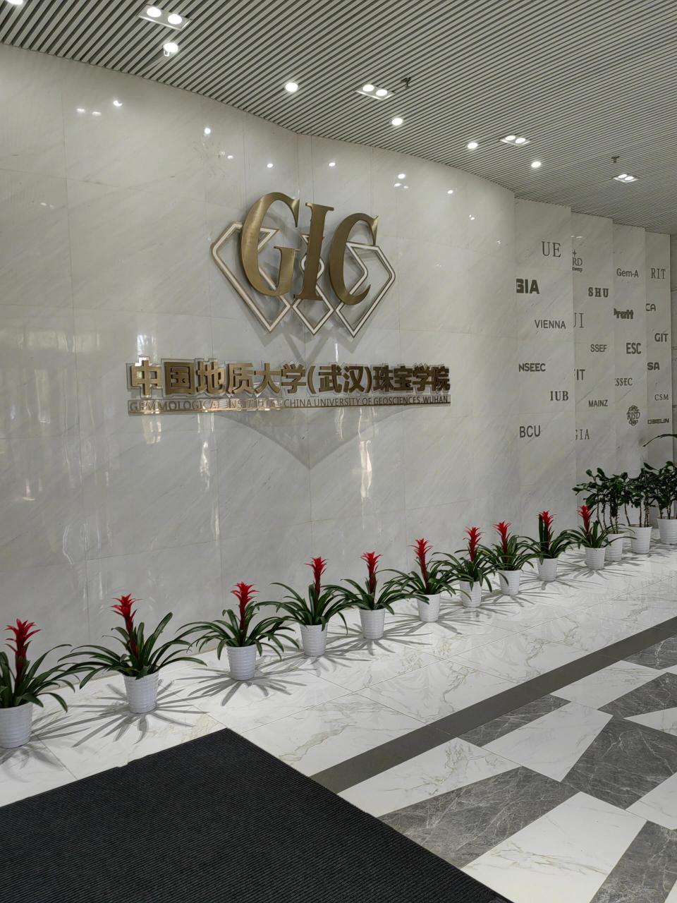 武汉中国地质大学珠宝检测中心现场送检 中国地质大学珠宝检测中心在