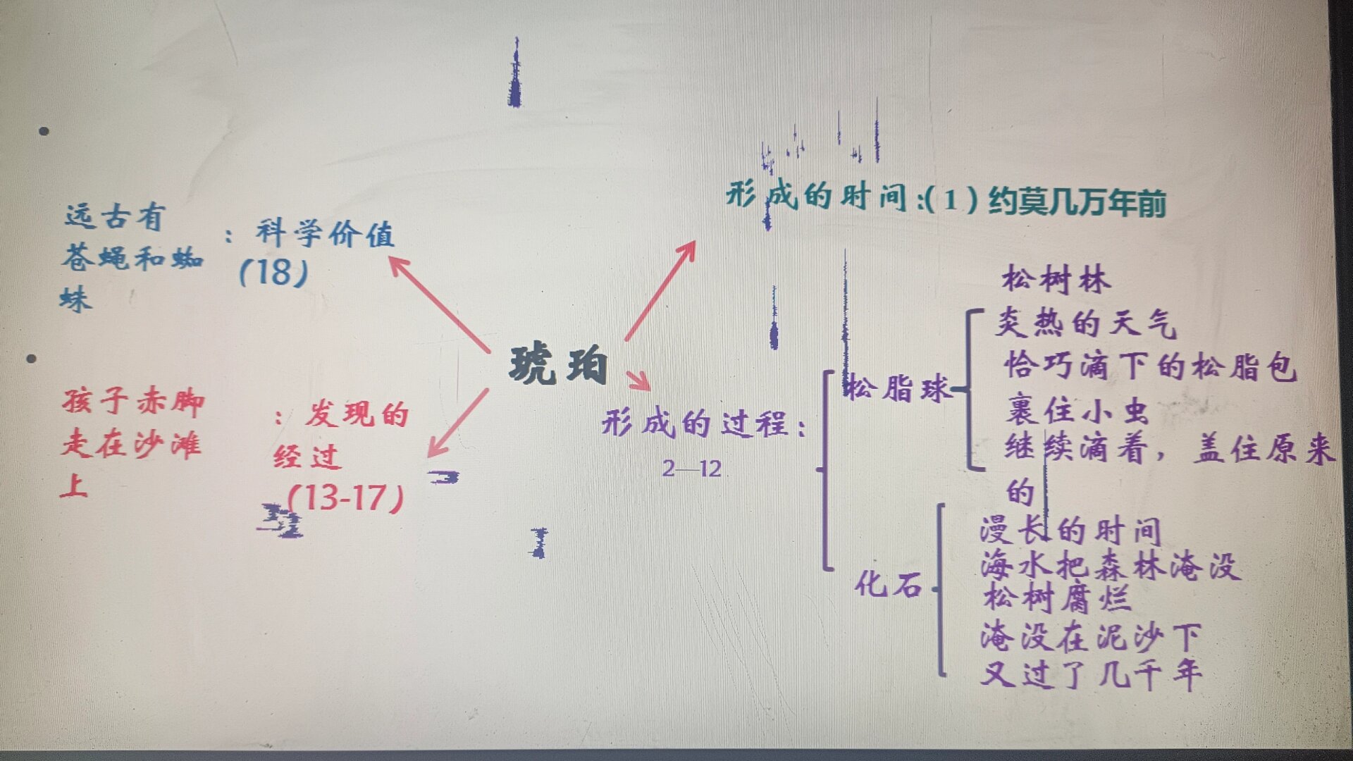 琥珀思维导图内容简单图片