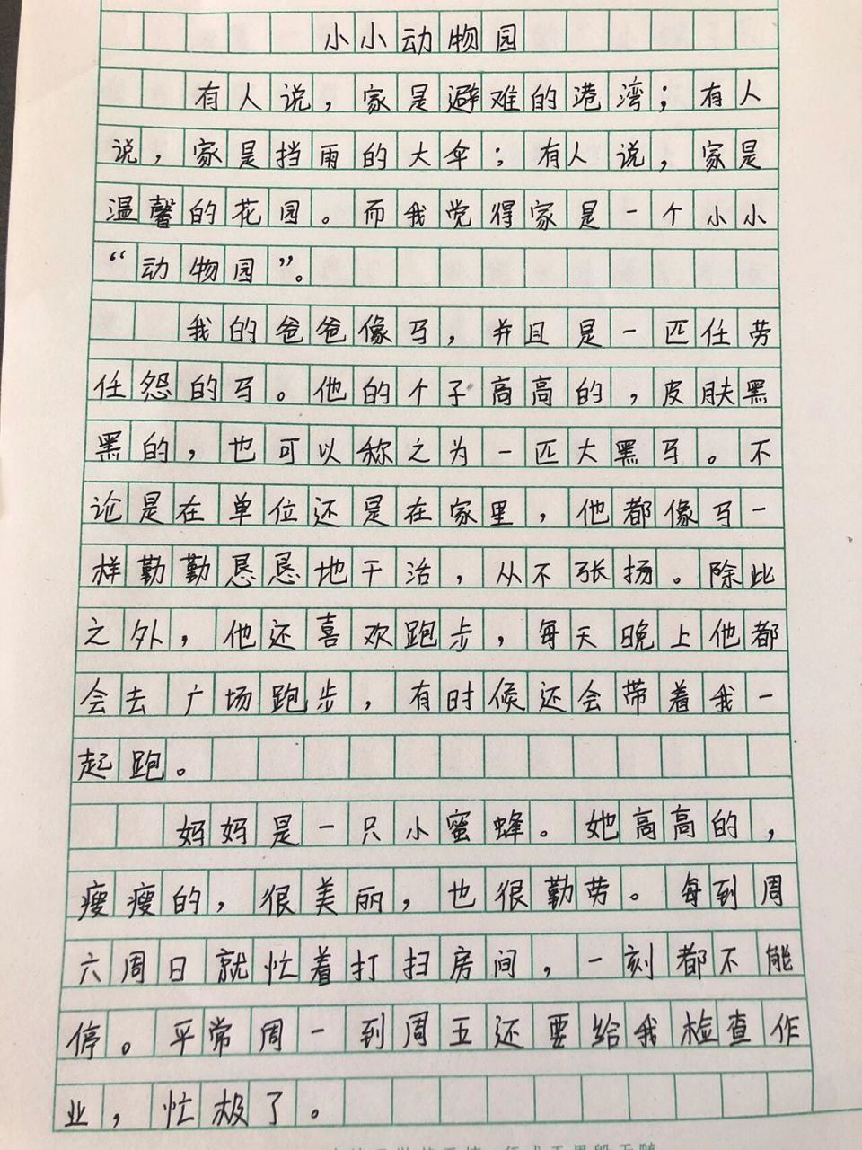 小小动物园.200字图片