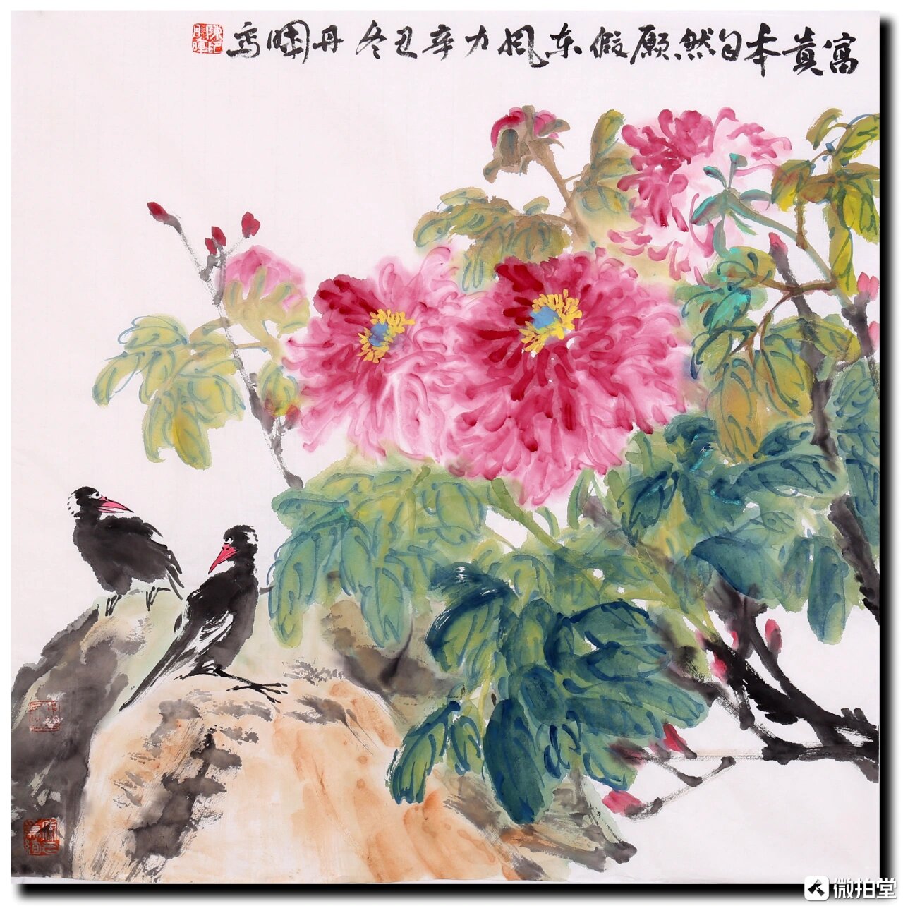陈丹晖老师花鸟作品欣赏(二)