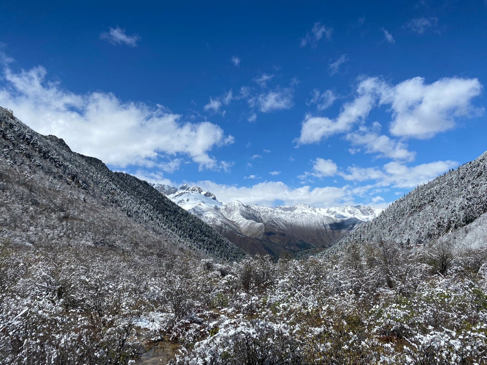 黄龙山景区一日游 交通06:九寨沟口长途客运站7915黄龙返川主寺