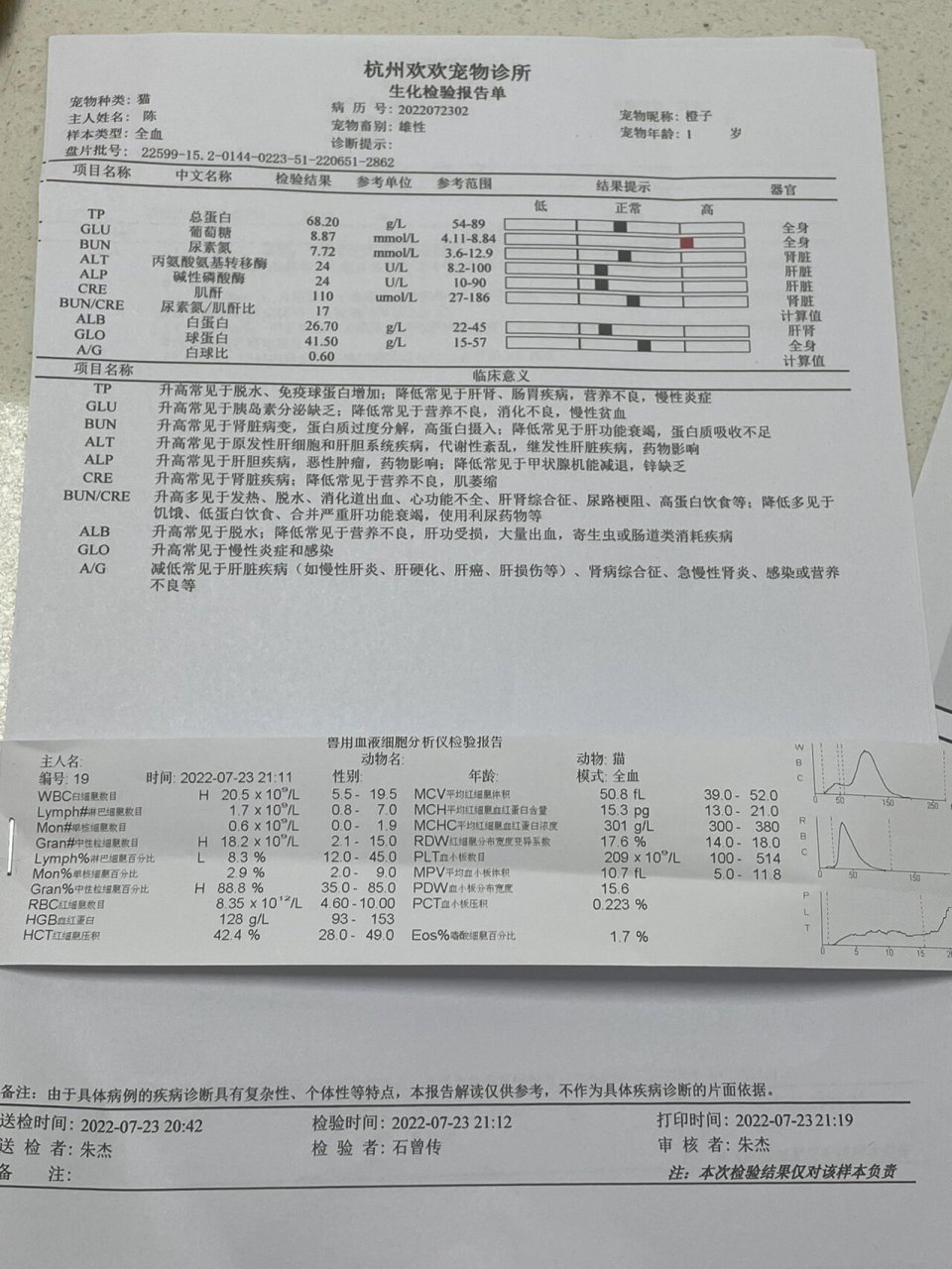 猫咪肺积水&胸腔积液 今天小猫咪出现母鸡蹲以及腹部呼吸,去宠物医院