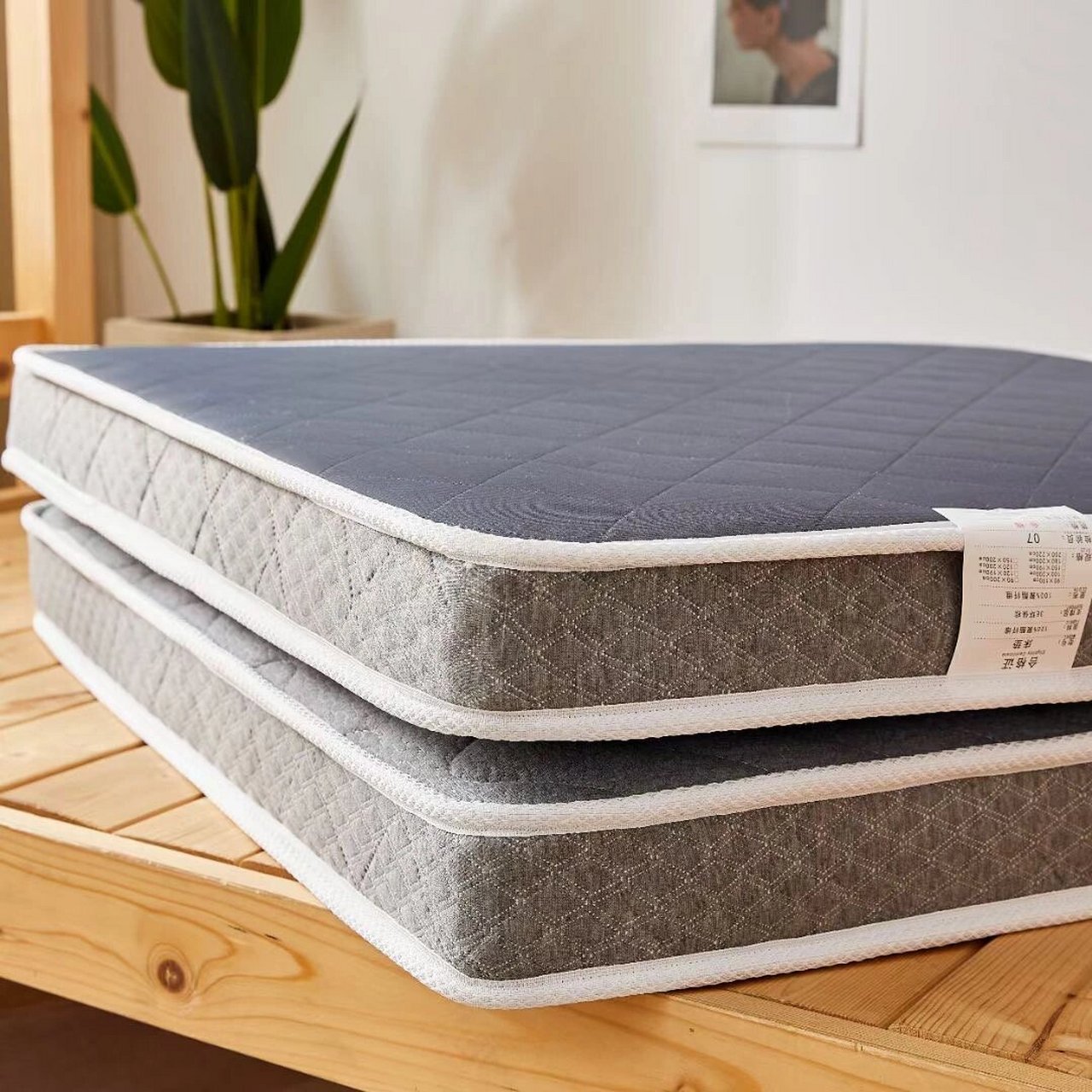 江苏南通床垫工厂,支持定制哦 新品抗菌防螨可折叠学生宿舍椰棕---防