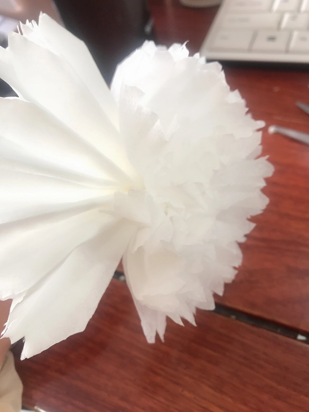 清明扫墓 | 学生手叠各式小白花 四明山心静卧着革命烈士蓝碧轩和他的