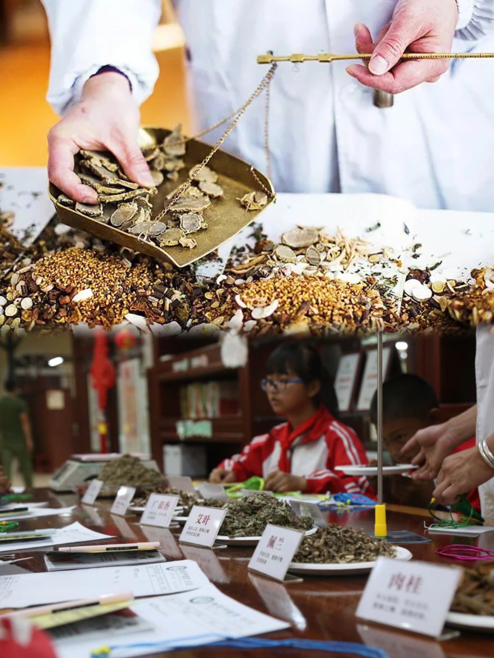 中医药研学课程学习如何制作中药凉茶