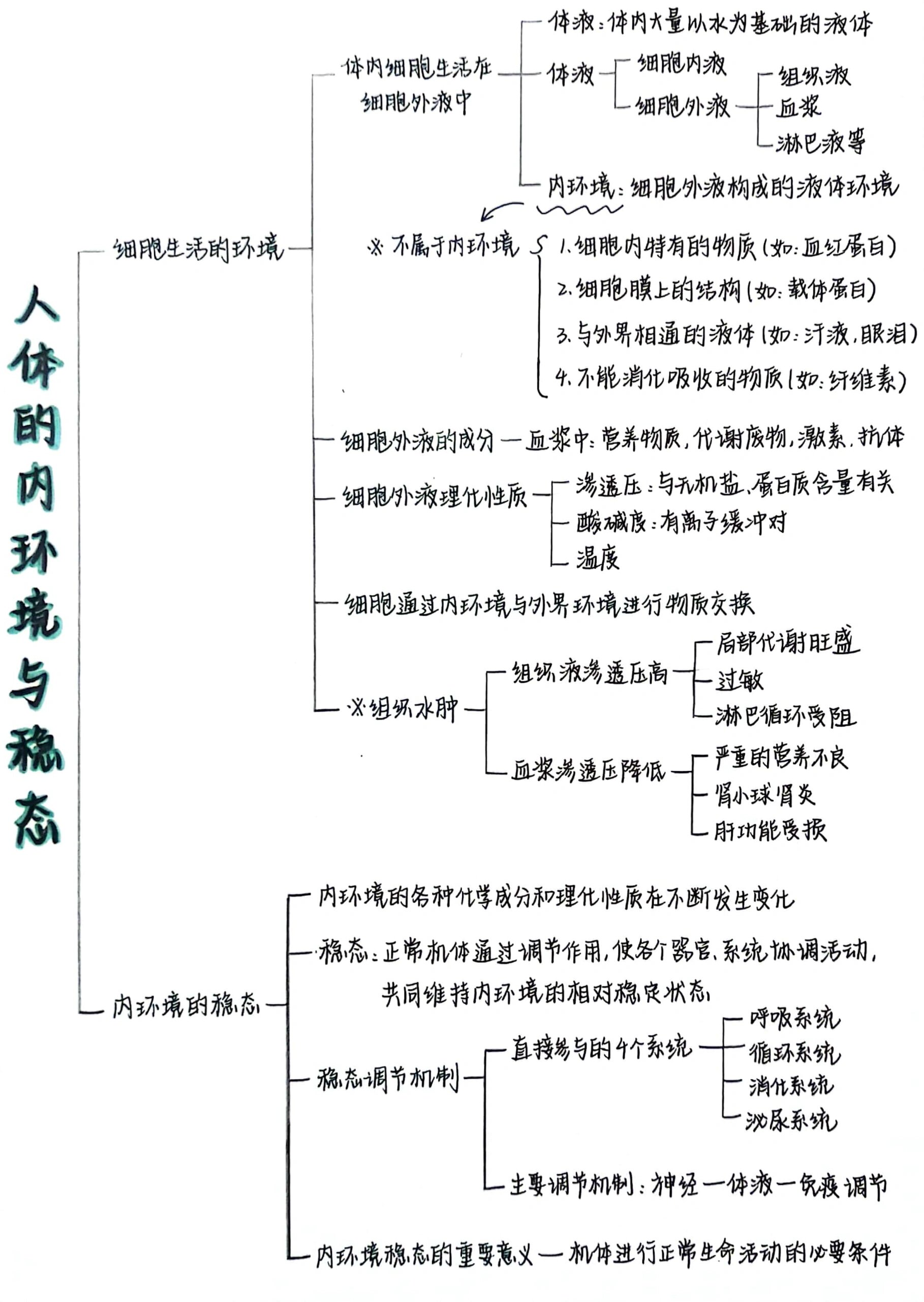 人体内环境成分图片