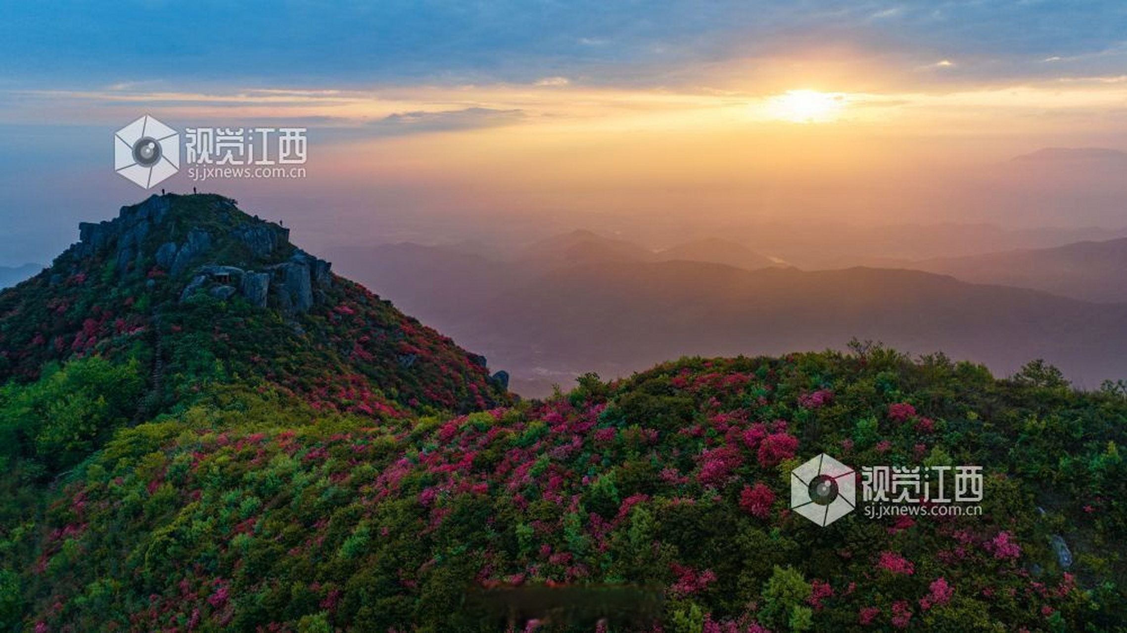 总要来趟江西吧#【江西丰城:升华山杜鹃花开】4月21日, 在江西省丰城