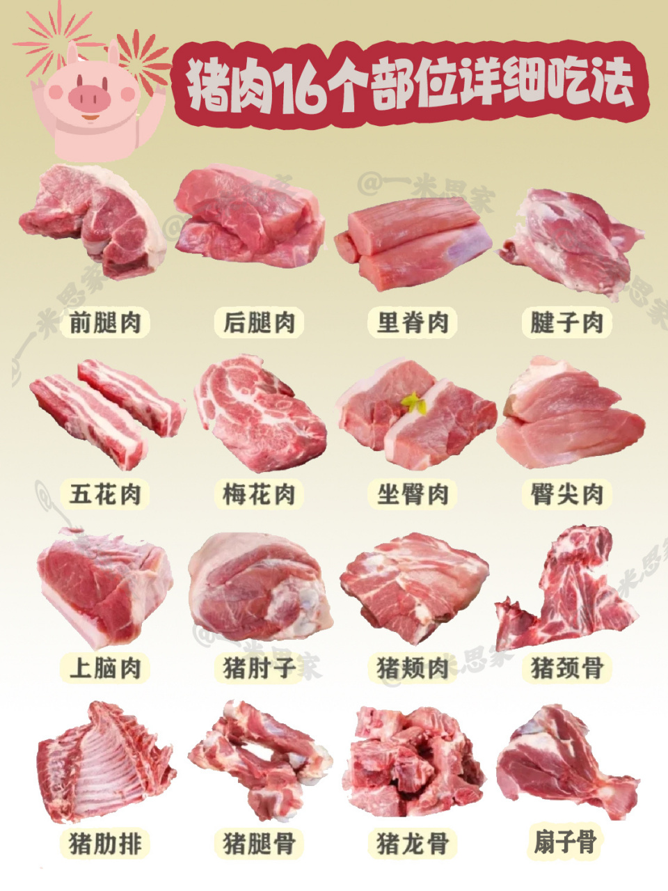 猪肉16个部位详细讲解,买猪肉再也不迷糊了 是不是经常去到菜市场不