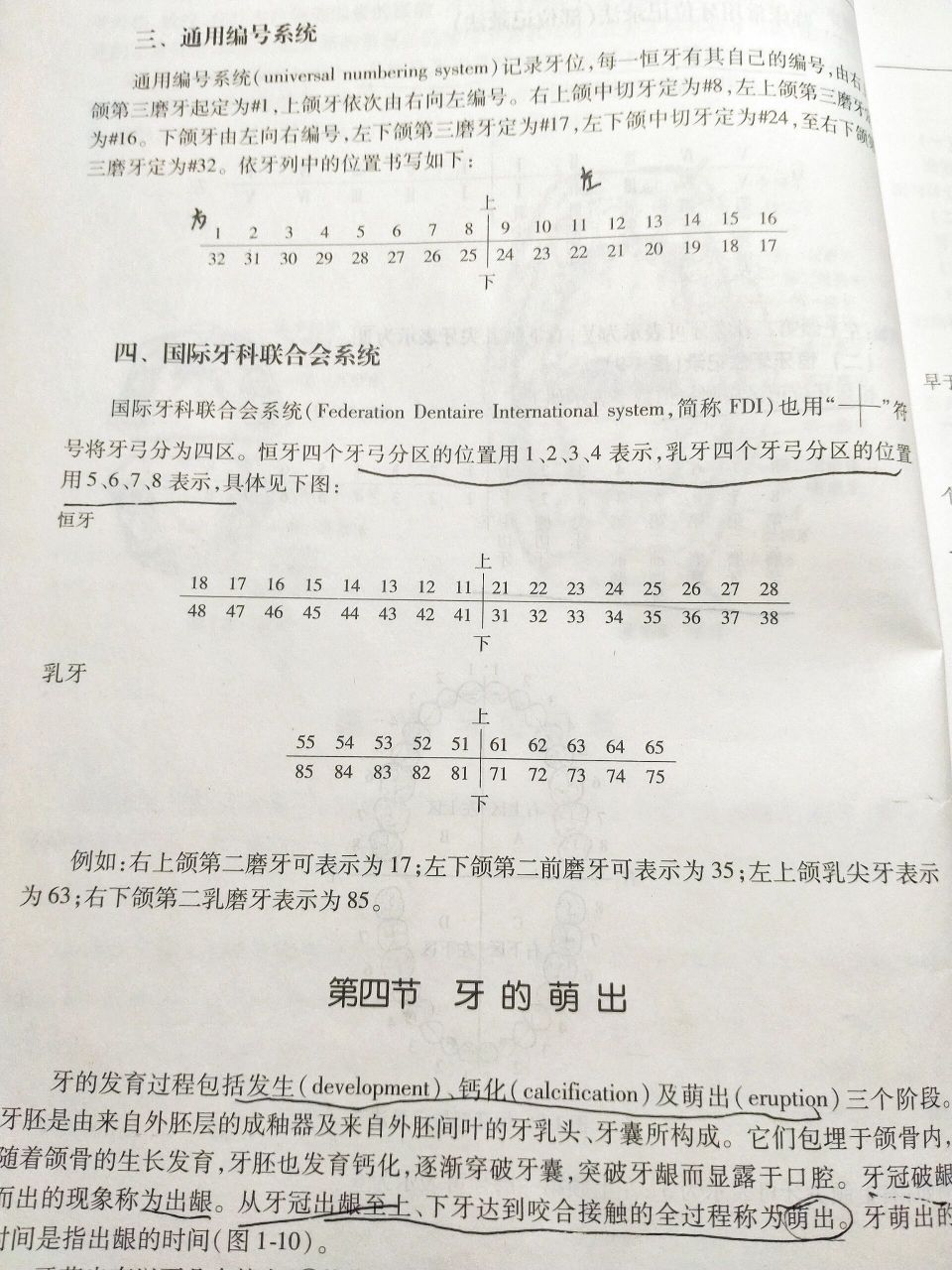 临床常用牙位记录法 乳牙:6个月左右乳牙开始萌出,至2岁半左右20个