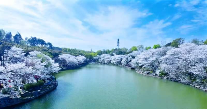 位于长沙市雨花区洞井街道的湖南省植物园,宛如一颗璀璨的生态明珠.