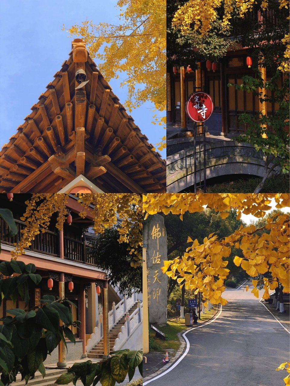 南京江宁|方山定林寺秋景 南京方山定林寺 位于南京市江宁区方山 距今