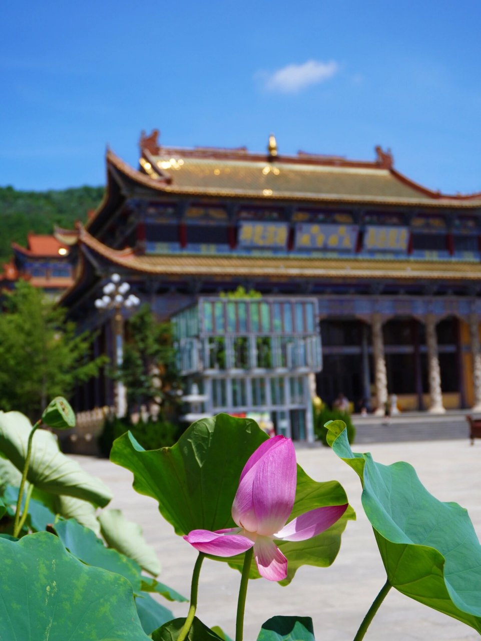 博山正觉寺|淄博必游寺庙 好久没有出远门,正觉寺一日参拜.
