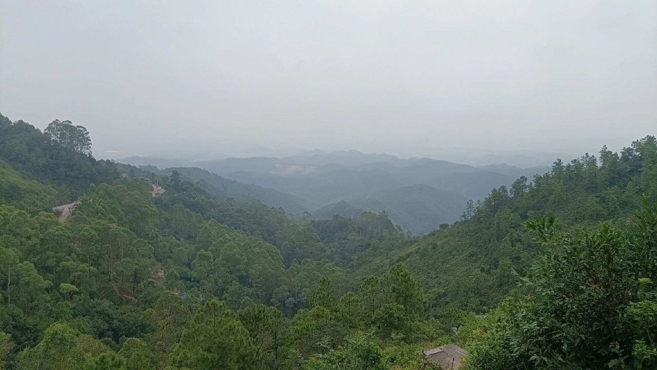鹤山茶山森林生态园