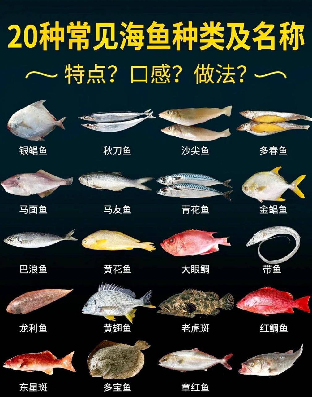 20种菜市场常见海鲜鱼大合集 区别和做法 鱼类作为日常常见的食物